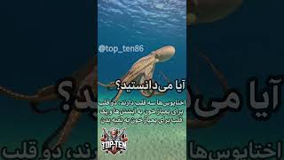 آیا می‌دانستید؟ ۱۰ حقیقت شگفت‌انگیز که شما را شگفت‌زده می‌کند!🤤🤯👻