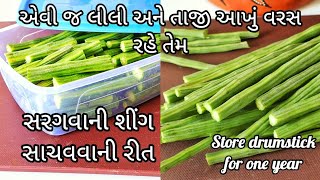 આખું વર્ષ લીલો છમ તાજો રહે એ રીતે સરગવાની સીંગ સાચવવાની રીત | How to store Drumsticks