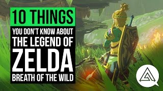 10 Things You Probably Don't Know About Zelda Breath of the Wild