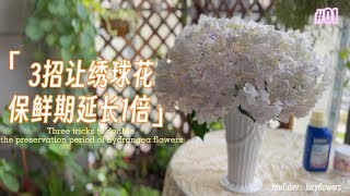 3招让夏天绣球花保鲜期延长一倍 Three tricks to double the preservation period of hydrangea flower#flowercare #绣球花