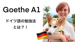 🇩🇪 ドイツのビザ取得に必要な、ドイツ語Goethe A1試験の勉強法とは？！