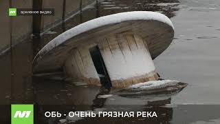 ОБЬ - ОЧЕНЬ ГРЯЗНАЯ РЕКА