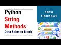 5. Python String Methods