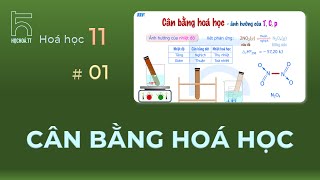 Cân Bằng Hóa Học (Hóa học 11)