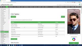 w3schools css table borders lesson