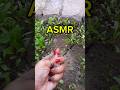 ASMR:💆‍♀️Super Duper Hands Movements💞💥 GREENY Spinach & Crumbling #ASMRandSIDRA @ASMRandSIDRA