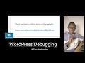 FIX WORDPRESS ERRORS FAST | PLUGIN CONFLICT DEBUGGING (2026)