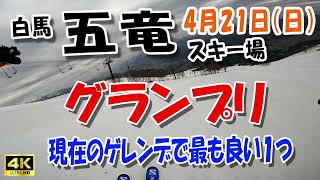 4月21日 五竜スキー場グランプリ　現在最も良いゲレンデの一つ