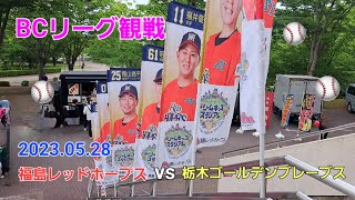 【BCリーグ観戦】福島レッドホープスvs栃木ゴールデンブレーブス 2023.05.28