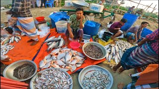 কালিয়াকৈর এর বিখ্যাত মাছের বাজার