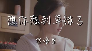 徐海星 - 想你想到草綠了『長調哼在那夕陽下』【動態歌詞Lyrics】