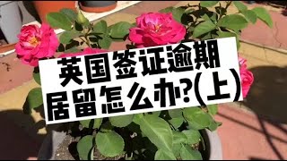 英国签证逾期居留怎么办？(上） /微信咨询：G1380901。三十年经验英国律师团队/ 最高等级移民法律资质/英国移民/英国签证法律/