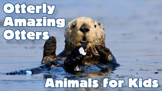 Otterly Amazing Otters! Animals for Kids #otters #homeschool #scienceforkids #animalfacts