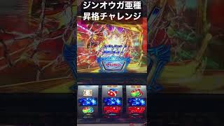 パチスロモンスターハンターワールドアイスボーン　昇格チャレンジ　ムフェトジーヴァ