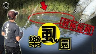 砲彈級虱目魚竟然可以這樣釣？！萬萬沒想到最強神餌就在你我身邊！#釣魚 #路亞 #鵝大人