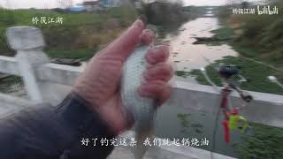 桥筏钓鱼，冬季遇到这样的天气千万别错过，连竿上鱼拉到手软 Fishing