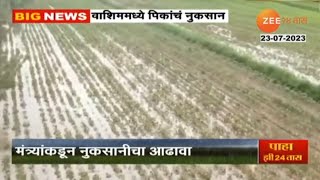 Washim Crop Loss | वाशिममध्ये मुसळधार पावसामुळे 3 हजार हेक्टरवरील पिकं जमीनदोस्त | Zee24 Taas