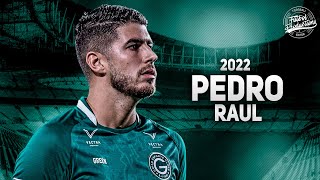 Pedro Raul ► Goiás ● Dribles, Gols \u0026 Assistências ● 2022 | HD