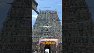 தென்காசி மக்களே இதோ உங்கள் ஊர் பெருமை🔥உலகம் அறிய | Tamilology |Tenkasi |Kasi vishvanathar kovil |