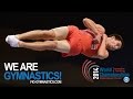 ZALOMIN Mikhail (RUS) - 2014 Trampoline Worlds, Daytona Beach (USA)  - Qualifications Double Mini