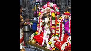 உலகெலாம் உணர்ந்து ஓதற்கரியவன் Thirupathiripuliyur Sri Padaleeswarar Temple #PurattasiSathurthasi