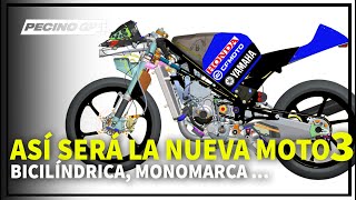 ASÍ SERÁ LA NUEVA MOTO3 ...