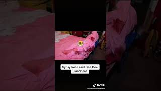 #Shorts #TikTok Credits to truecrimestoryteller   Gypsy Rose and Dee Dee