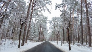 Relaxing Winter Snowfall Walk to the Sea in Jurmala, Latvia [4K]