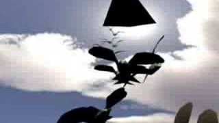 When Boids Attack