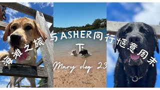 与Asher同游海滩｜轻松下饭｜治愈系小狗｜Mary Vlog 23