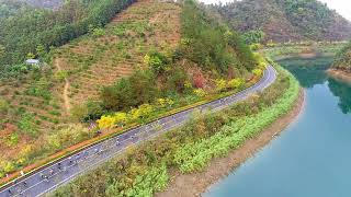 Fast and Furious at Qiandao Lake Road Cycling Race