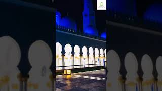 Sheikh Zayed Masjid Outside View at Night #sheikhzayedmosque #abudhabi #shorts