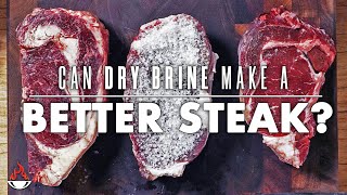 Steak Experiment: Can DRY BRINE Make a BETTER STEAK? | Salty Tales Cooking