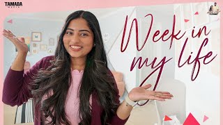 Busy Week In Our Life | Travel | Food | AkhilaVarun | USA Telugu Vlogs | Tamada Media