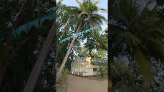 Kataragama Mosque 🕌