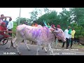 ಕಂಕಣವಾಡಿ ಬ ಘಟಕ 21000 ಜನರಲ ಜೋಡು ಎತ್ತಿನ ಮೈದಾನ 2024 kakanawadi bullcart race 2024 kakanawadi