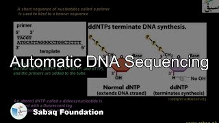 Automated DNA Sequencing, Biology Lecture | Sabaq.pk