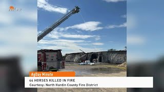 AgDay Minute 06/13/24 | 44 Horses Killed in Fire