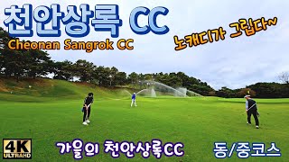 가을의 천안상록CC (동코스,중코스) - 노캐디가 그립다