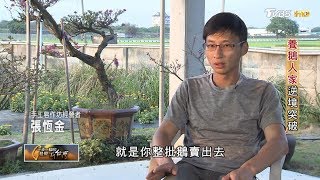 養鵝人家逆境突破 一步一腳印 20190421