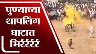 Pune Bullock Cart Race | पुण्यातील आंबेगाव तालुक्यात 8 वर्षांनंतर बैलगाडा शर्यतीचे आयोजन