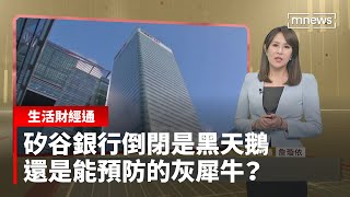 矽谷銀行倒閉是黑天鵝　還是能預防的灰犀牛？｜生活財經通 #鏡新聞