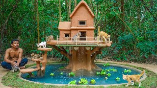 Rescue Kitten Cat And Build the Tree House for Cat with Amazing Aquarium