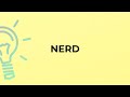 What is the meaning of the word NERD?