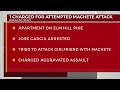 1 charged in attempted machete attack