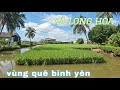 Khám Phá Vùng Nông Thôn Xã Cù Lao Long Hòa Huyện Châu Thành Tỉnh Trà Vinh