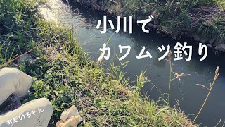 おじいちゃんが小川でカワムツ釣り