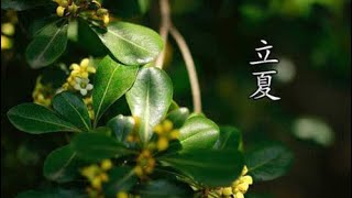 祛湿吃1豆，护肝吃2菜，养胃喝3汤！立夏后吃，全家老少都受益【侯老师说食疗】