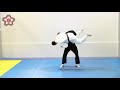 tai guruma kyushin ryu jujitsu