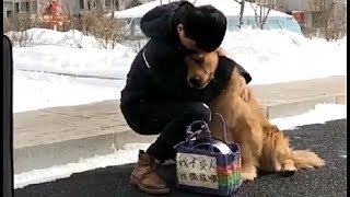 【留守番嫌いの犬がとった行動が話題に...】可愛すぎる動物たち！